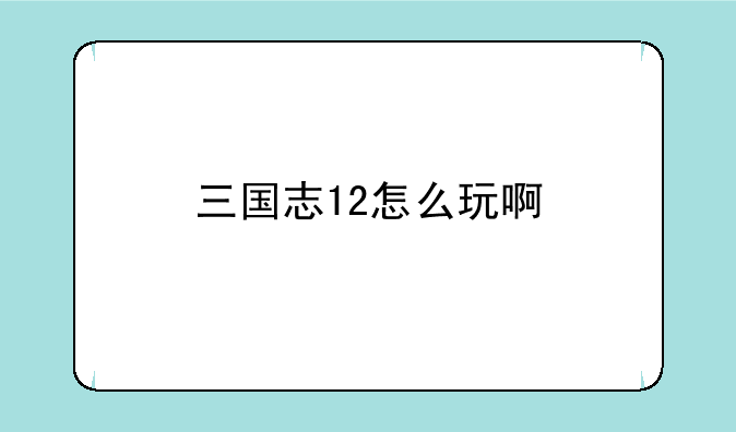 三国志12怎么玩啊