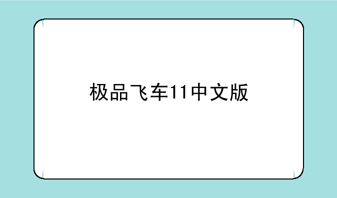 极品飞车11中文版