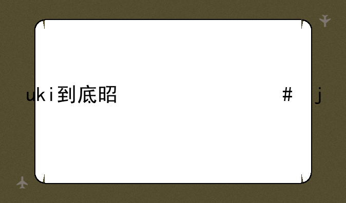 uki到底是干什么的