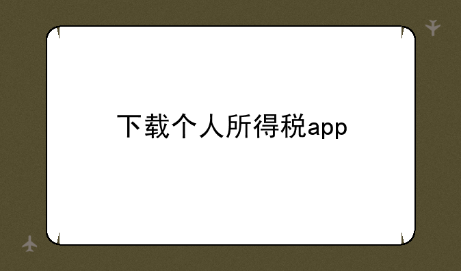 下载个人所得税app