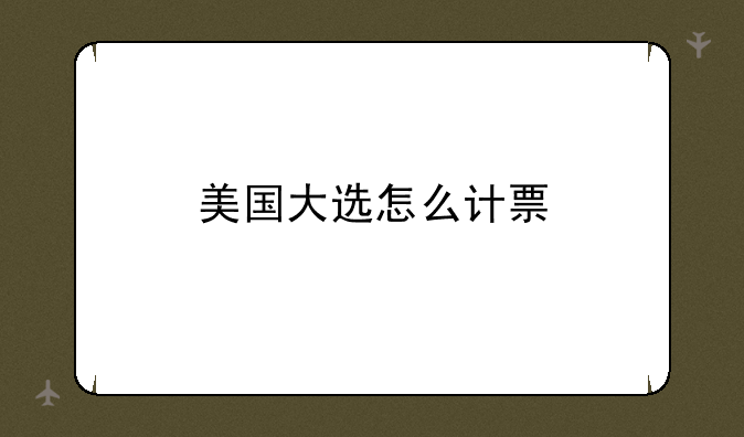 美国大选怎么计票