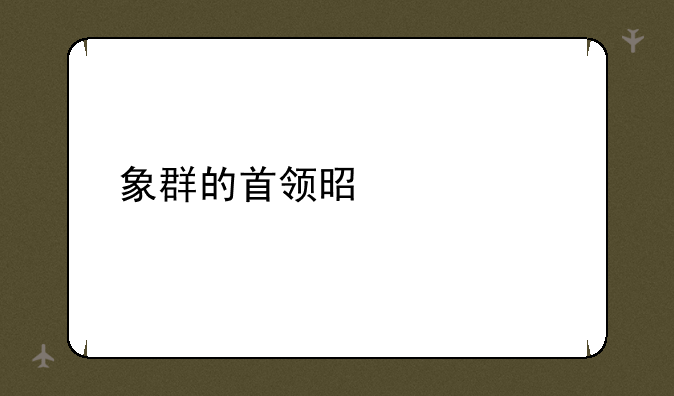 象群的首领是什么
