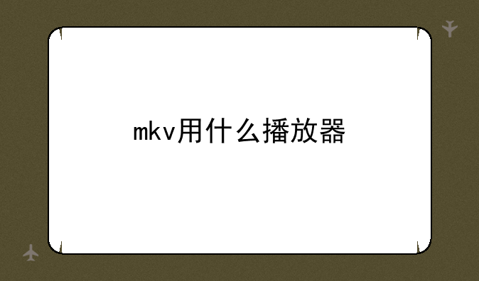 mkv用什么播放器