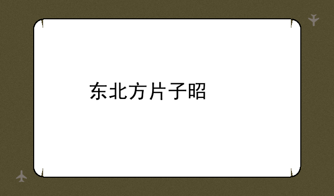 东北方片子是谁