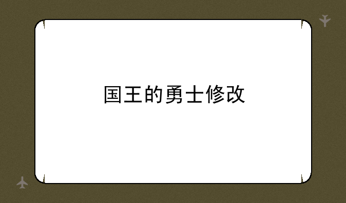 国王的勇士修改