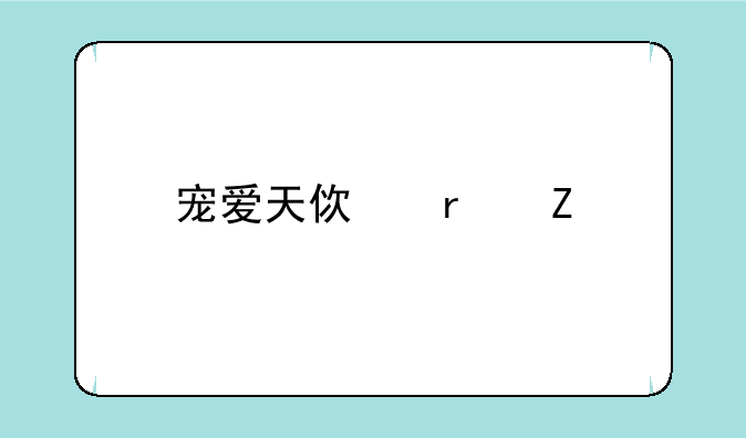 宠爱天使最新版