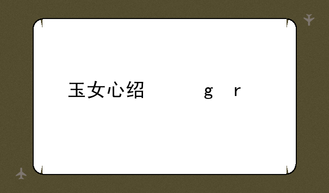 玉女心经这本书
