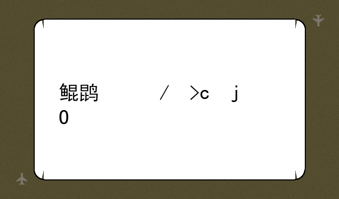 鲲鹏之变的寓意