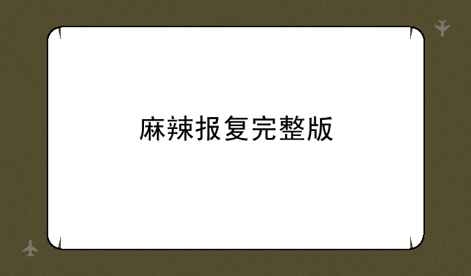 麻辣报复完整版
