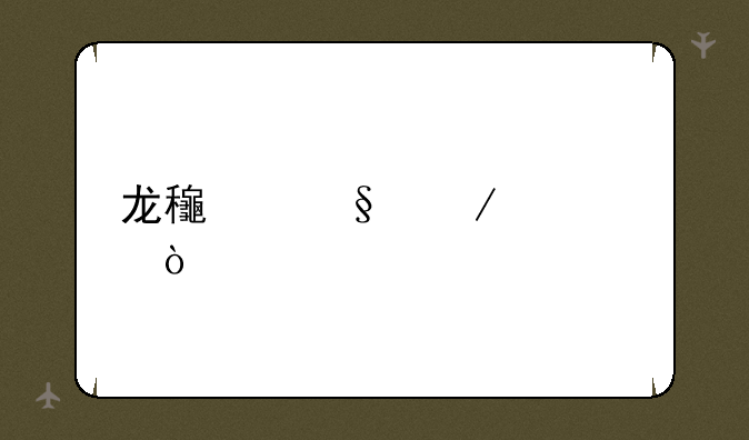 龙龟天赋出装？