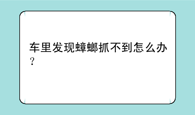 车里发现蟑螂抓不到怎么办？