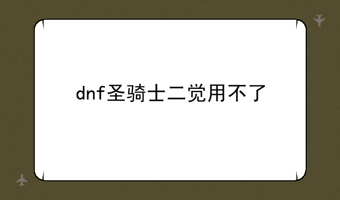 dnf圣骑士二觉用不了