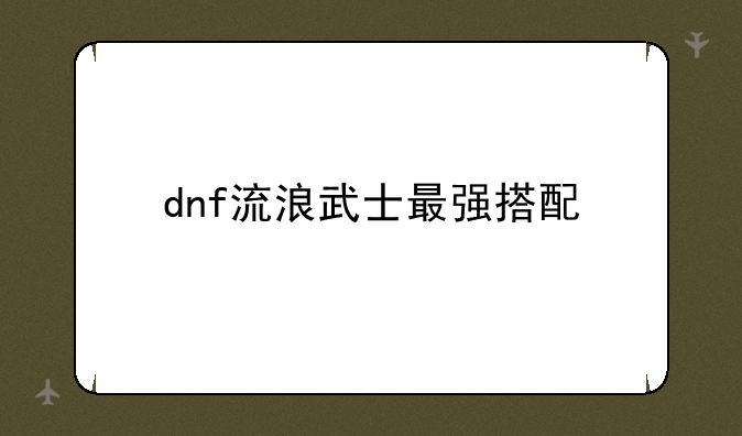 dnf流浪武士最强搭配