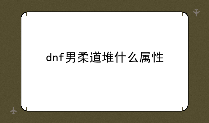 dnf男柔道堆什么属性