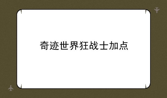 奇迹世界狂战士加点