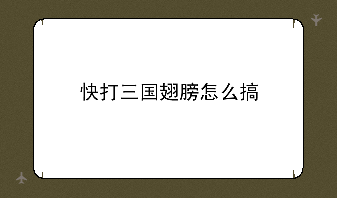 快打三国翅膀怎么搞