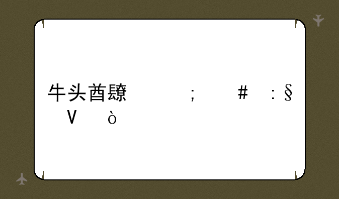 牛头酋长怎么玩啊？
