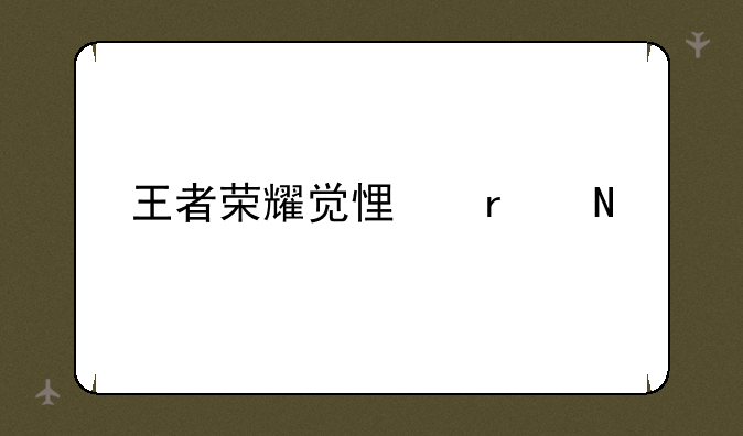 王者荣耀觉悟在哪里