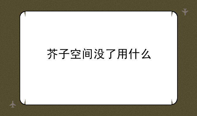 芥子空间没了用什么