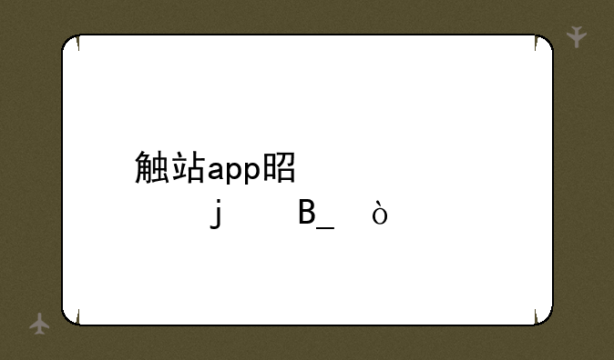 触站app是正规的吗？