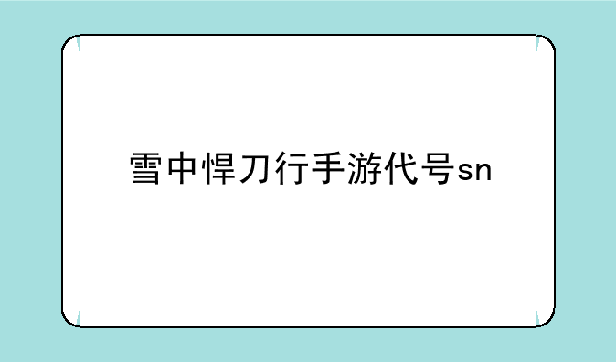 雪中悍刀行手游代号sn