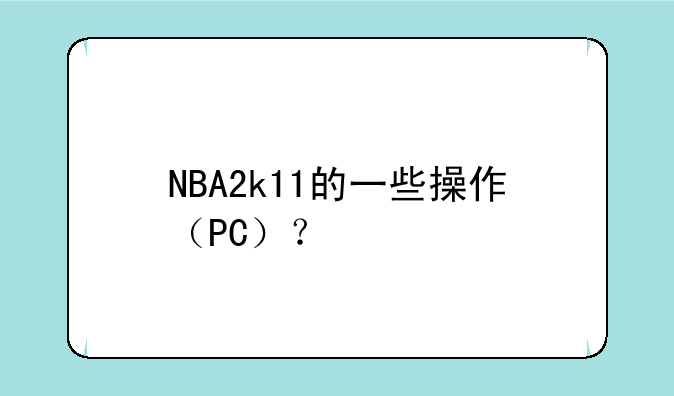 NBA2k11的一些操作（PC）？