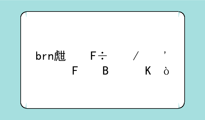 brn生命之泉干红葡萄酒？