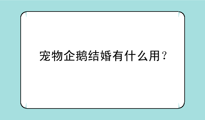 宠物企鹅结婚有什么用？