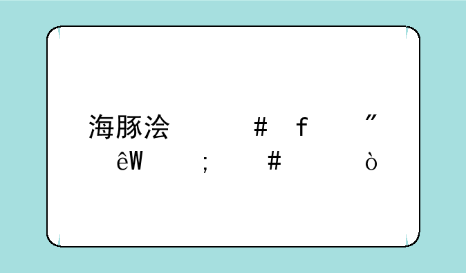 海豚浏览器到底怎么样？