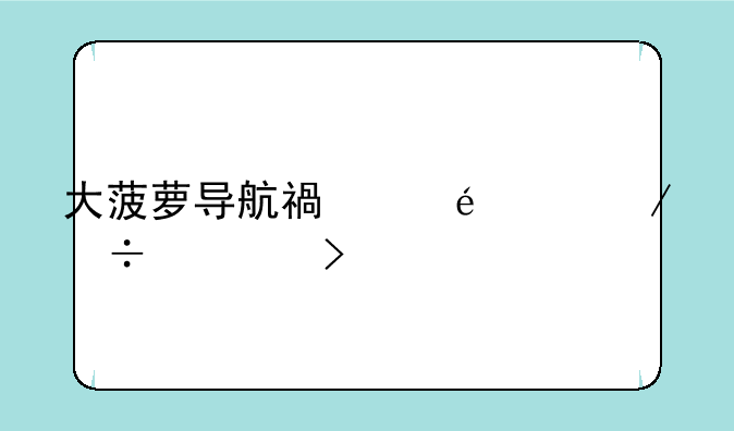 大菠萝导航福建app下载入口