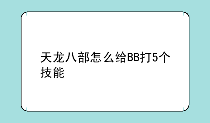天龙八部怎么给BB打5个技能