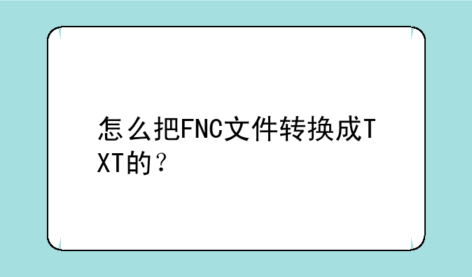 怎么把FNC文件转换成TXT的？