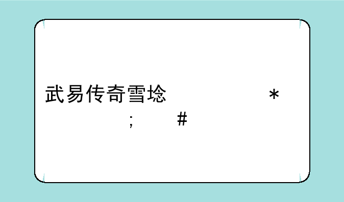 武易传奇雪域任务要怎么做