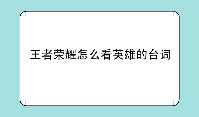 王者荣耀怎么看英雄的台词
