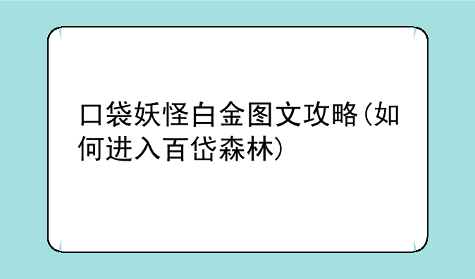 口袋妖怪白金图文攻略(如何进入百岱森林)