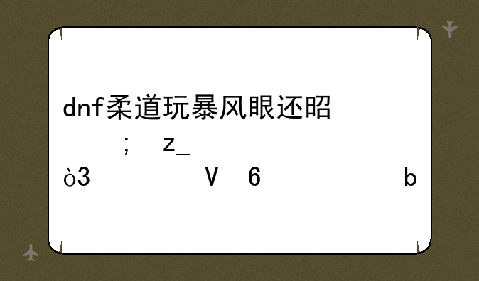 dnf柔道玩暴风眼还是风林火山，求数据证明