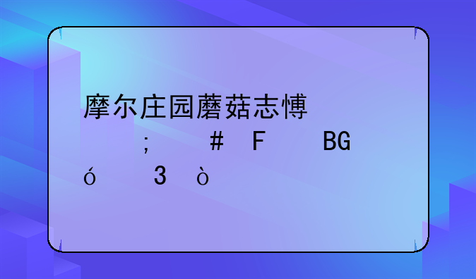 摩尔庄园蘑菇志愿者怎么摆向导桌？