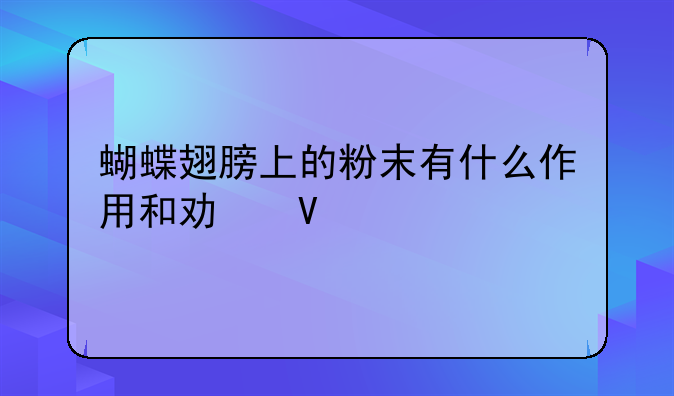 蝴蝶翅膀上的粉末有什么作用和功效
