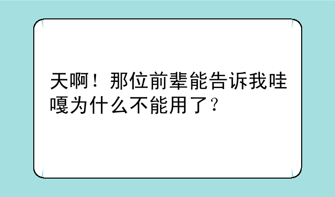 天啊！那位前辈能告诉我哇嘎为什么不能用了？