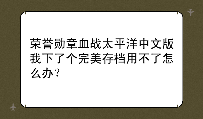 荣誉勋章血战太平洋中文版我下了个完美存档用不了怎么办？