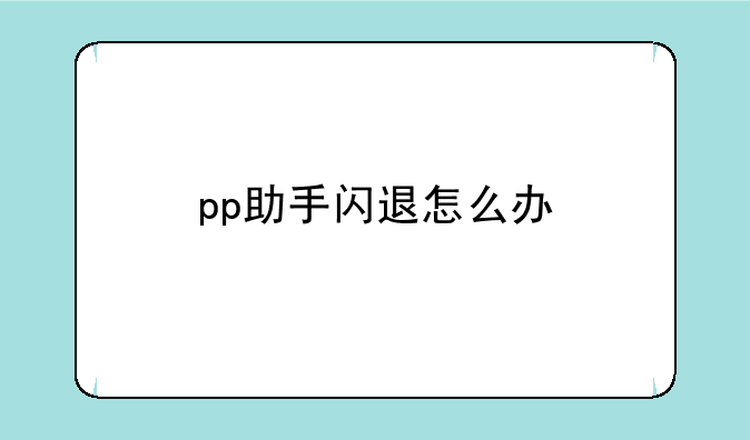 pp助手闪退怎么办