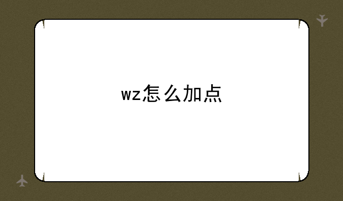 wz怎么加点