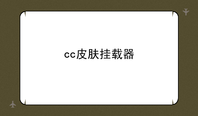 cc皮肤挂载器