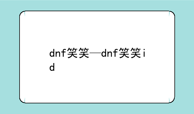 dnf笑笑—dnf笑笑id