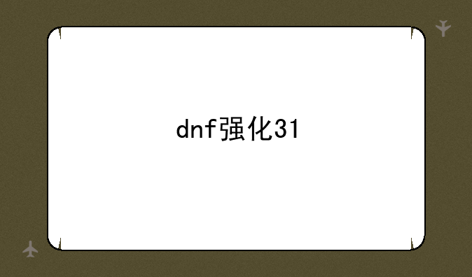 dnf强化31