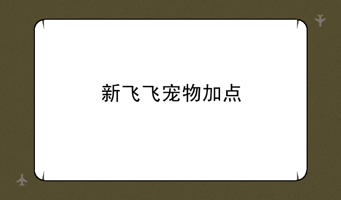 新飞飞宠物加点