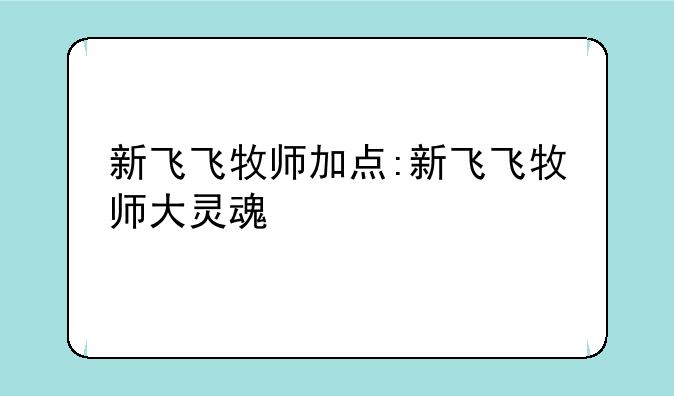 新飞飞牧师加点:新飞飞牧师大灵魂