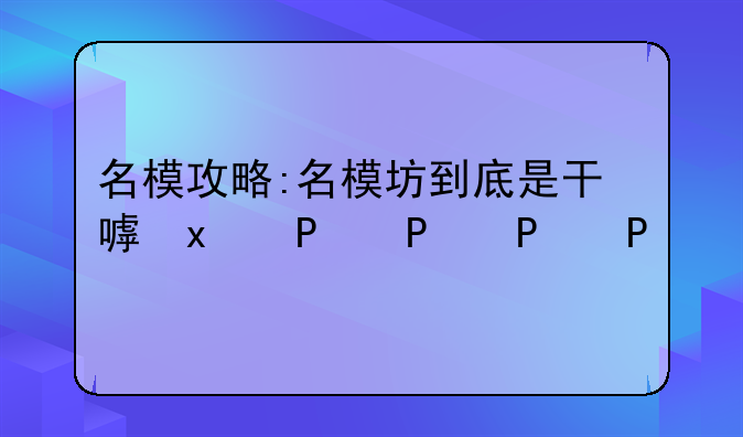 名模攻略:名模坊到底是干嘛的