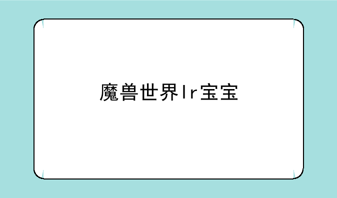 魔兽世界lr宝宝