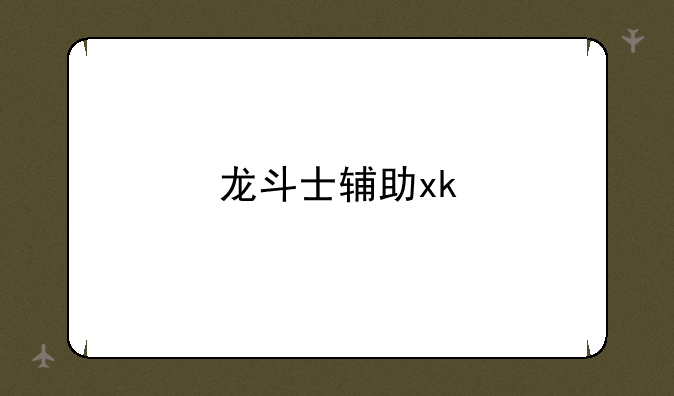 龙斗士辅助xk